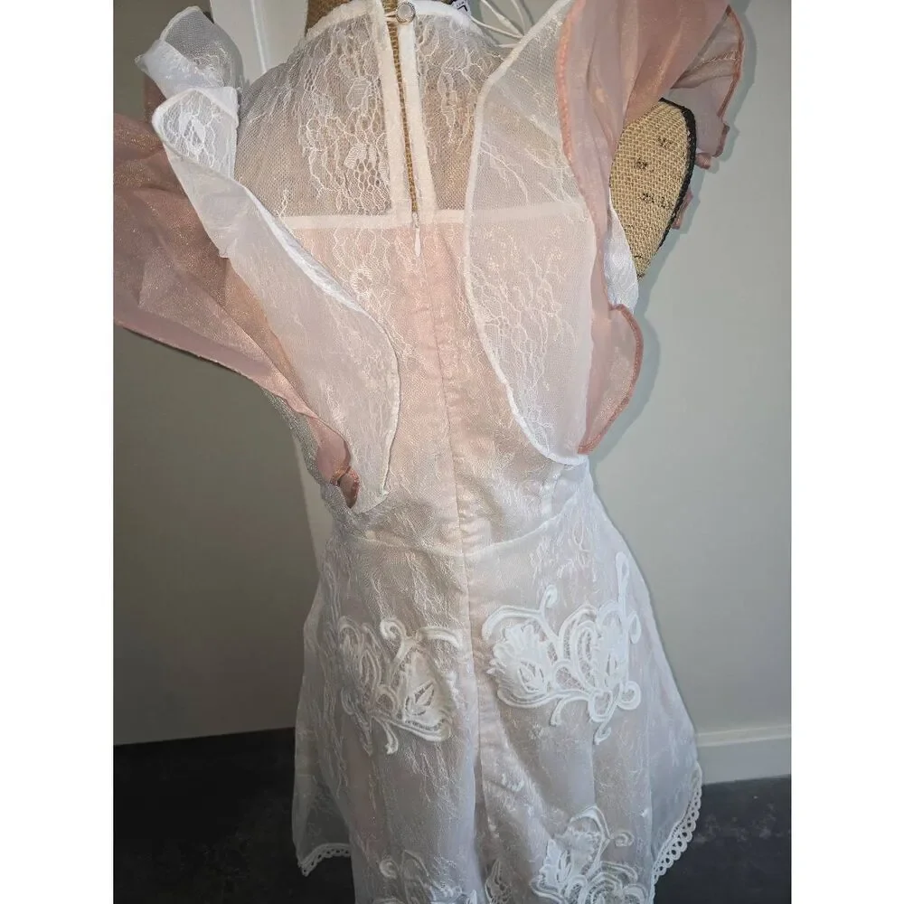 Aimili Lace Lined Dress - Picture 9 of 14
